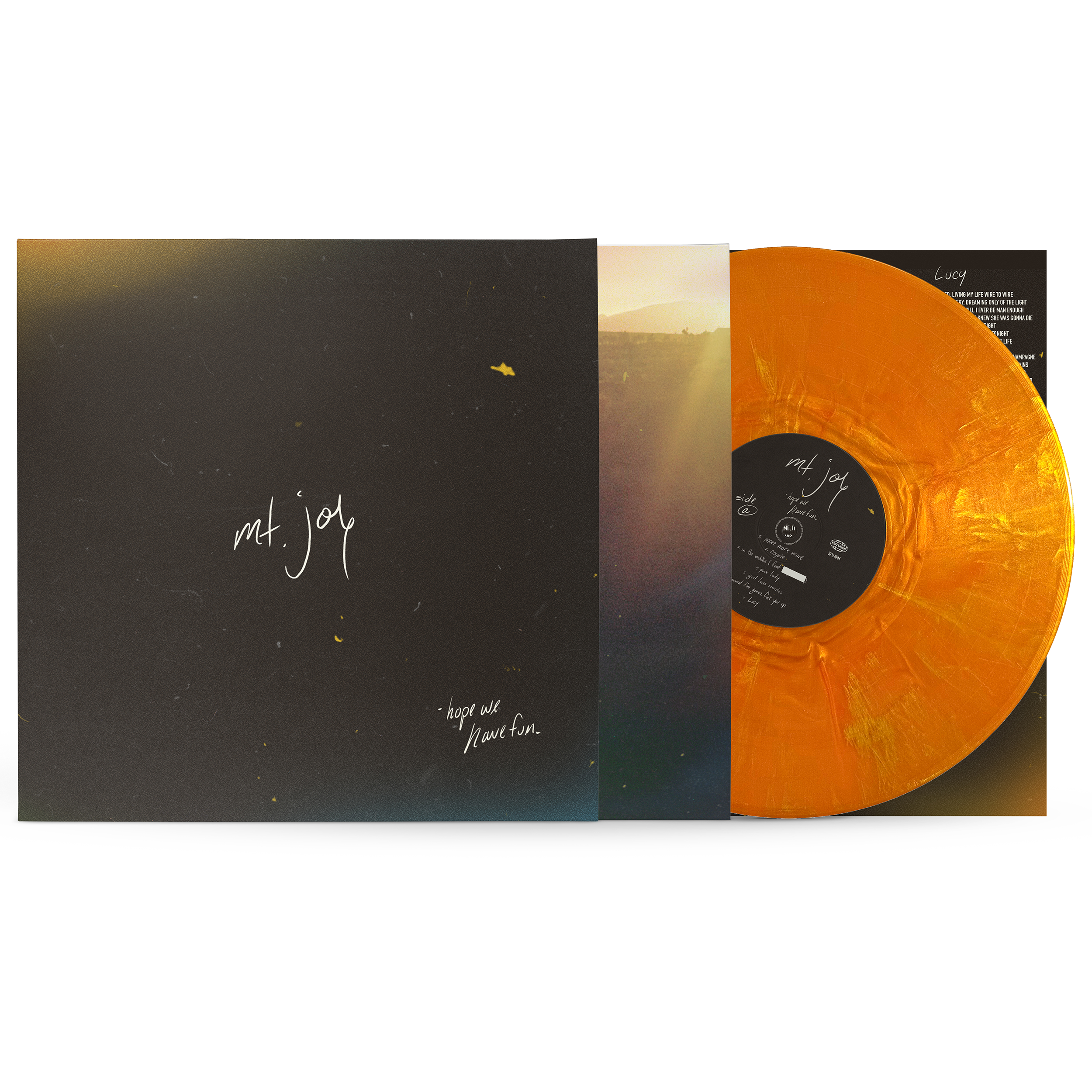 Hope We Have Fun Vinyl - Goldfish Variant