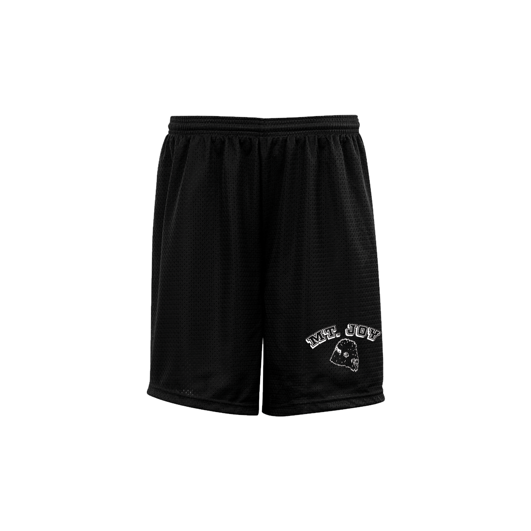 Mt. Joy Athletic Shorts