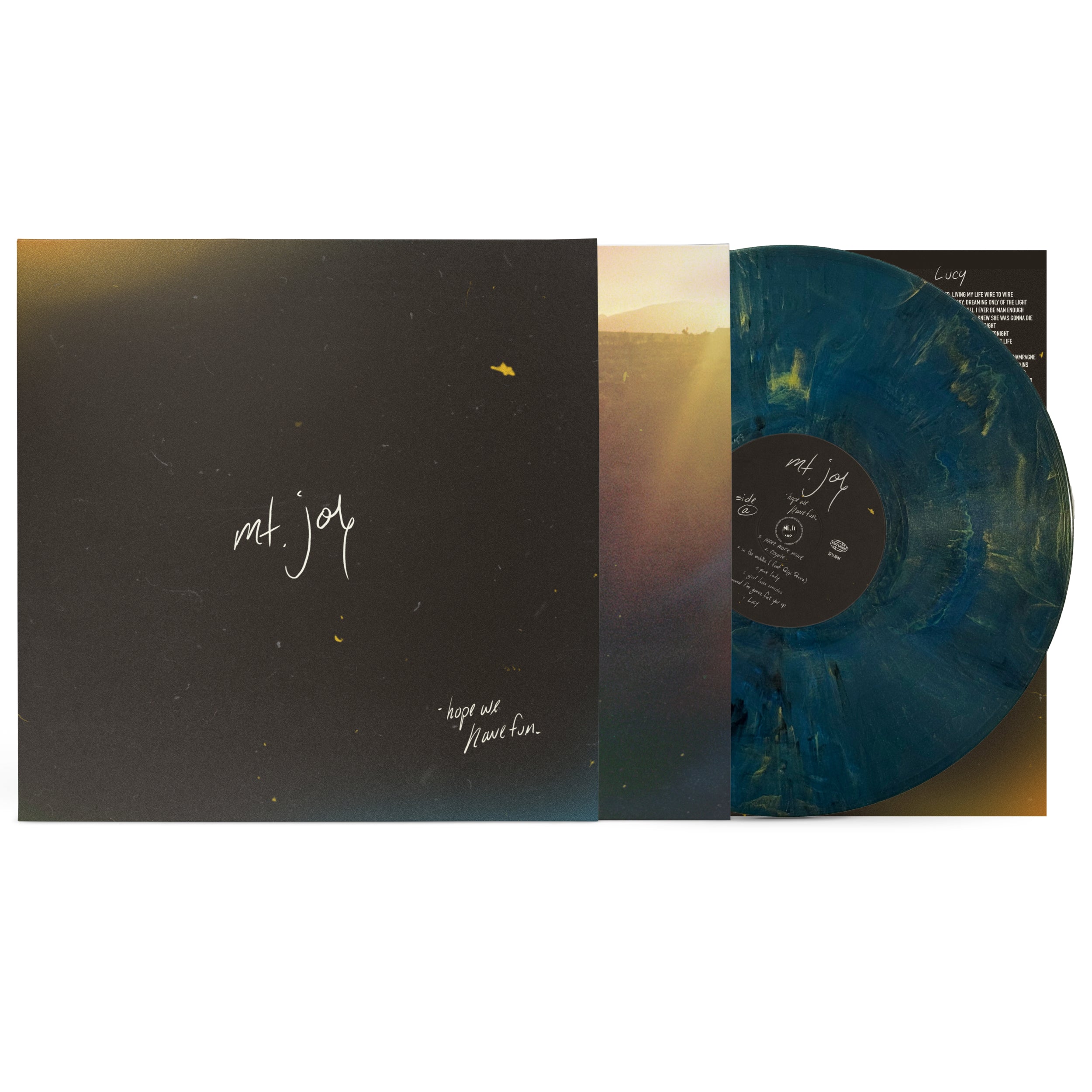 Hope We Have Fun Vinyl