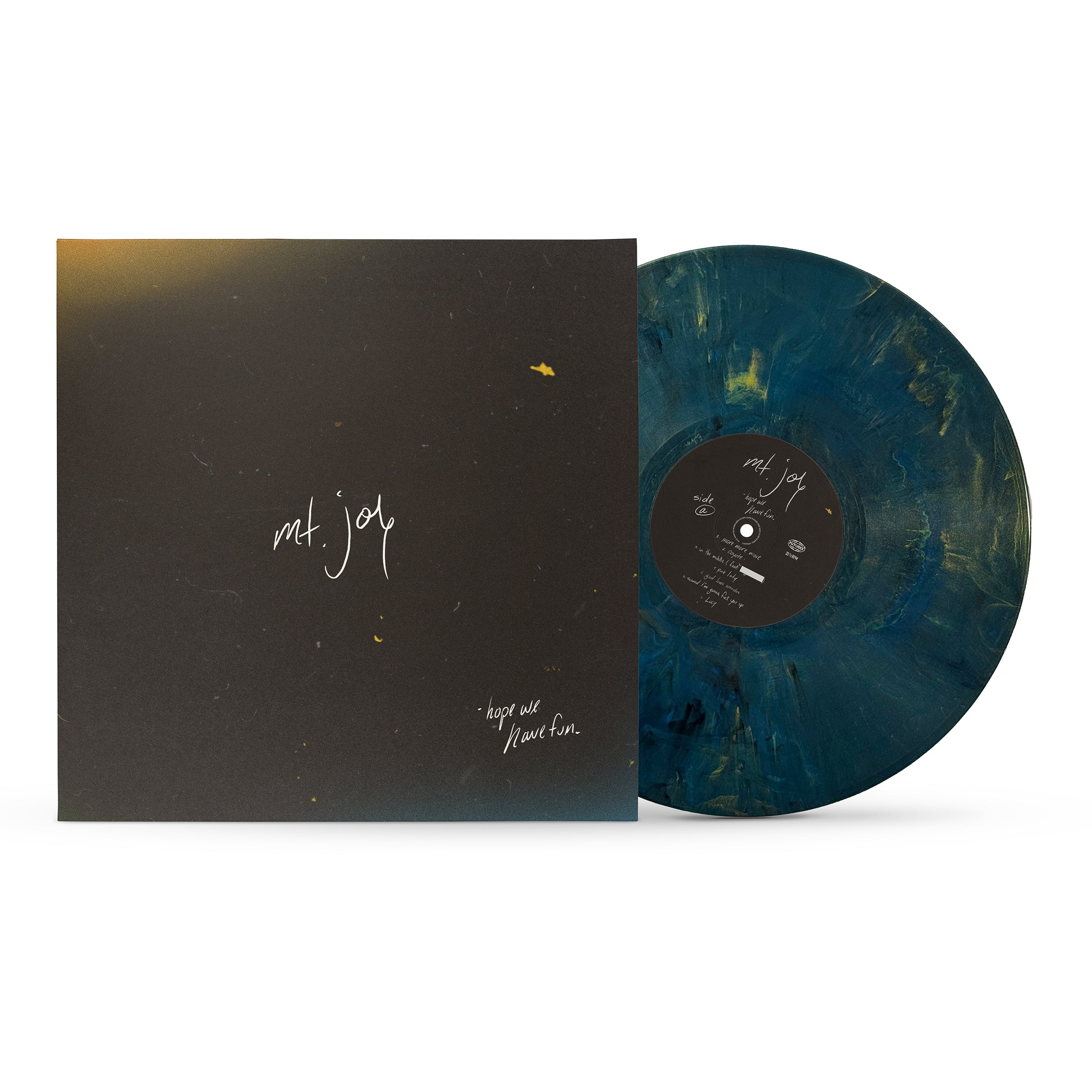 Hope We Have Fun Vinyl